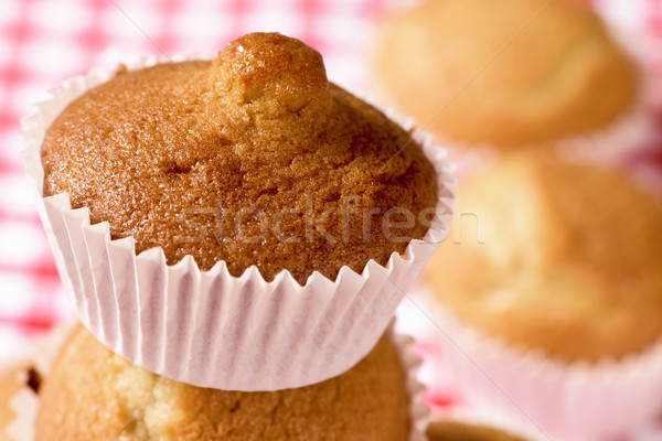 magdalenas, typical spanish plain muffins Stock photo © nito