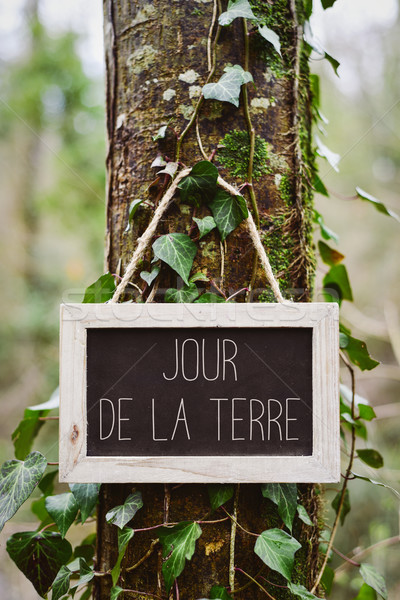text jour de la terre, earth day in french Stock photo © nito