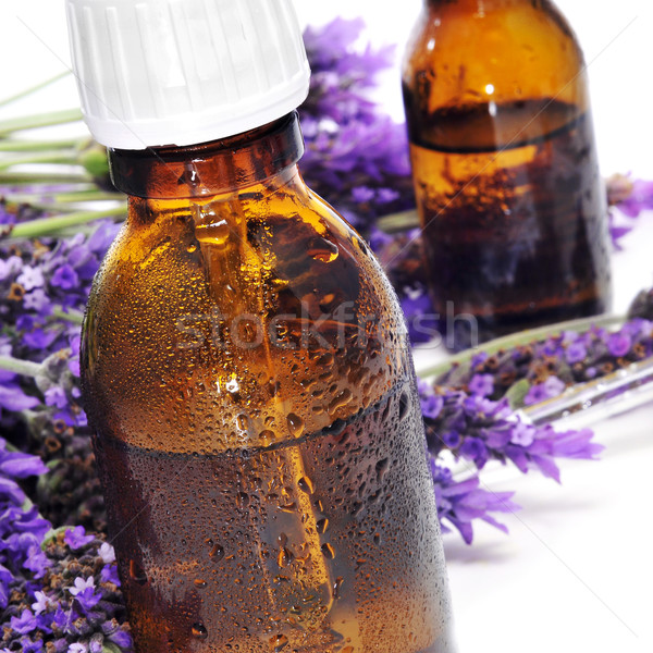 Natürlichen Pipette Flaschen Lavendel Stock foto © nito
