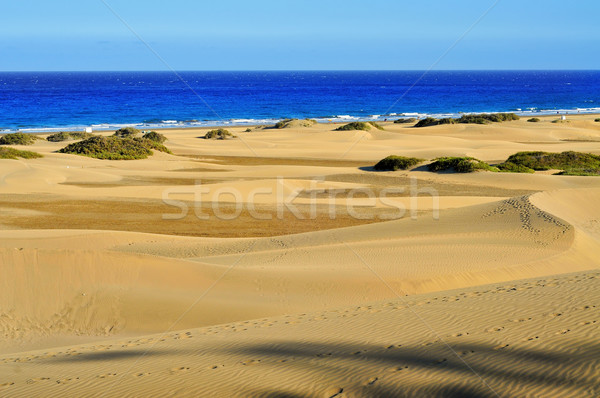 Stock photo: Natural Reserve of Dunes of Maspalomas, in Gran Canaria, Spain