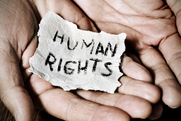 Junger Mann Papier Text Menschenrechte Hände Stock foto © nito