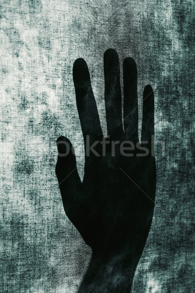 silhouette of an open hand Stock photo © nito