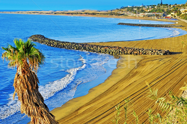 Playa del Ingles beach in Maspalomas, Gran Canaria, Spain Stock photo © nito