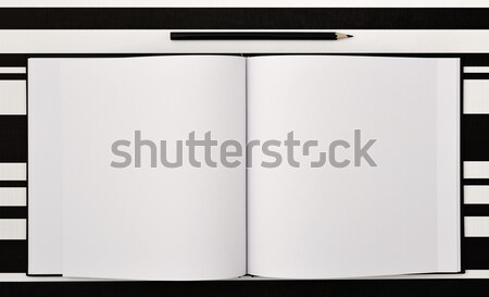 Stift öffnen Merkzettel erschossen schwarz Seiten Stock foto © nito