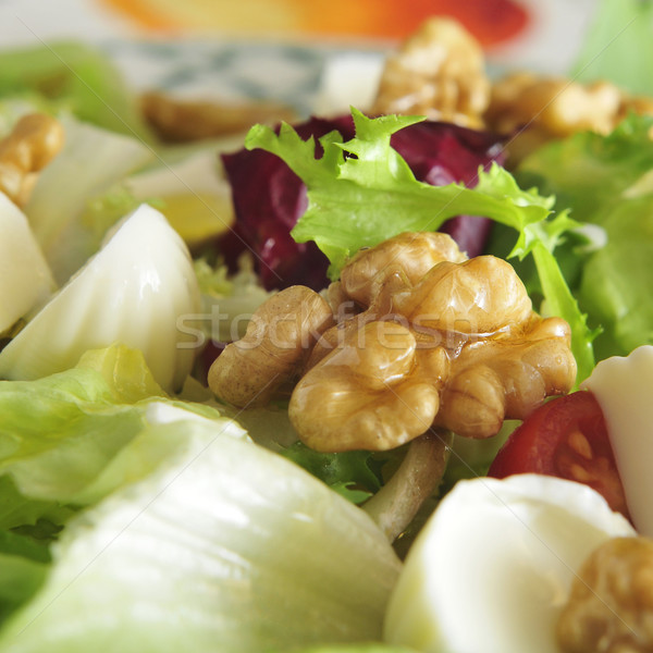 salad Stock photo © nito