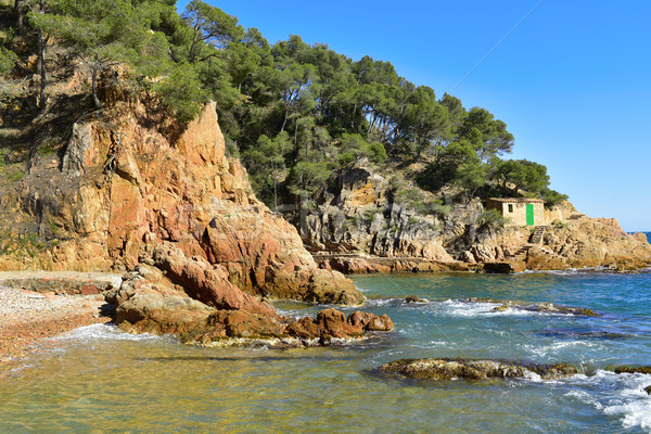 coast of Tamariu, Spain Stock photo © nito