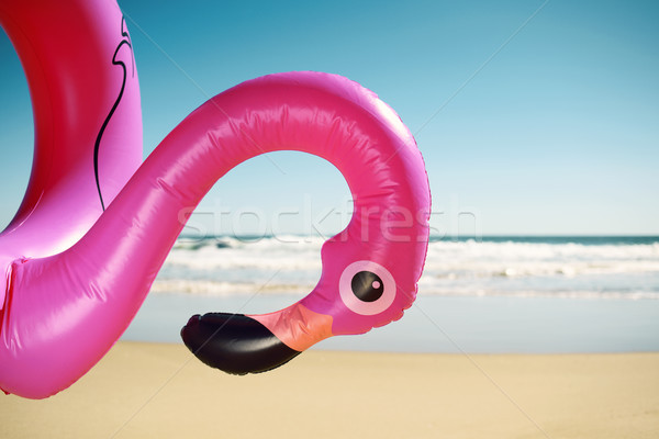 pink flamingo swim ring on the beach Stock photo © nito