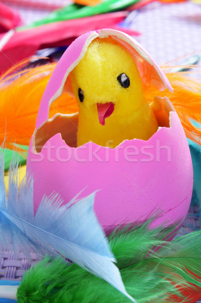 easter egg and chick Stock photo © nito