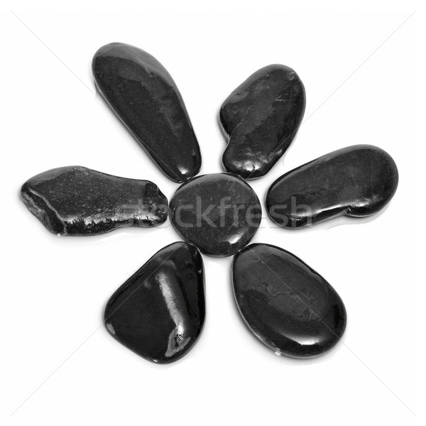 stone flower Stock photo © nito