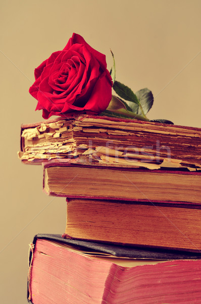 red rose and old books Stock photo © nito