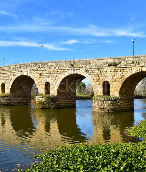 Puente Romano bridge in Merida, Spain Stock photo © nito