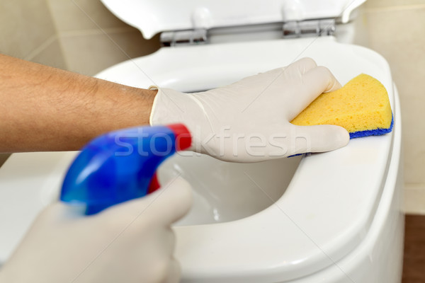 Giovane pulizia WC primo piano fibra spugna Foto d'archivio © nito