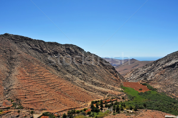 Tájkép Kanári-szigetek Spanyolország kilátás természet Európa Stock fotó © nito