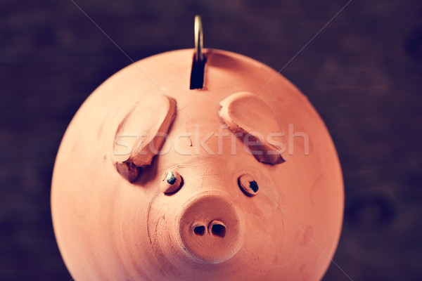 coin in a piggy bank, filtered Stock photo © nito