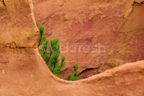 [[stock_photo]]: Nature · vert · bleu · Voyage · sable · rouge