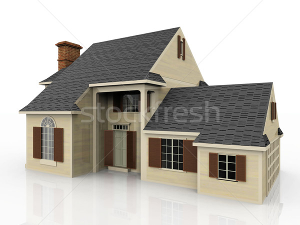 the house Stock photo © njaj