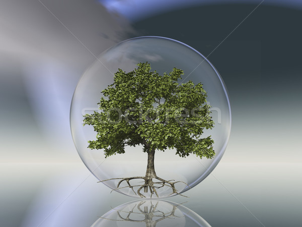 green tree in a bubble Stock photo © njaj