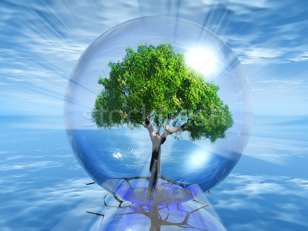 green tree in a bubble Stock photo © njaj