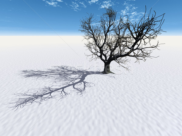 Martwe drzewa śniegu piękna dziedzinie śmierci martwych Zdjęcia stock © njaj