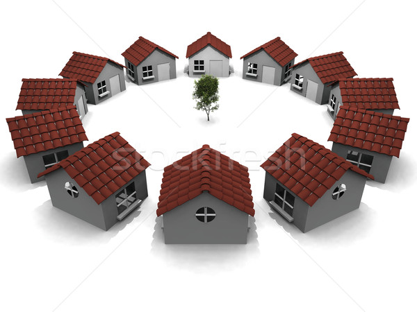 my house Stock photo © njaj