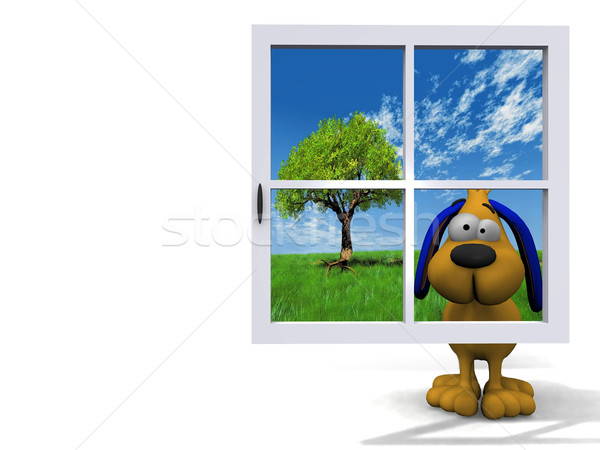 Foto stock: Cão · atrás · azul · janela · feliz · moda