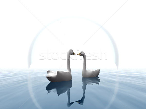 Dwa łabędź charakter Pióro rzeki pływanie Zdjęcia stock © njaj