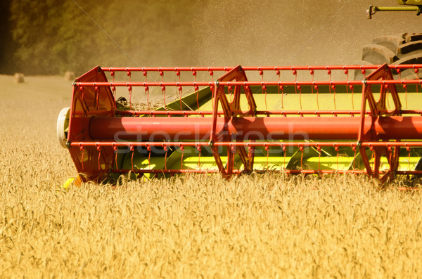 Kukurydza krajobraz maszyny rolnik kultury zbiorów Zdjęcia stock © njaj