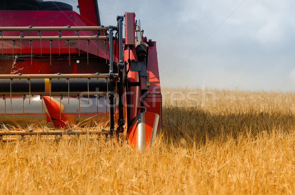 the combine harvester Stock photo © njaj