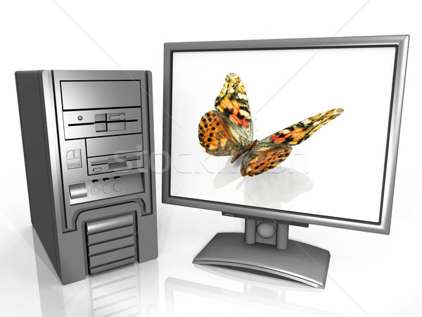 computer  screen and the Butterfly Stock photo © njaj