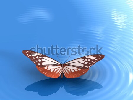 Schmetterling schönen Flügel Natur Schönheit Sommer Stock foto © njaj