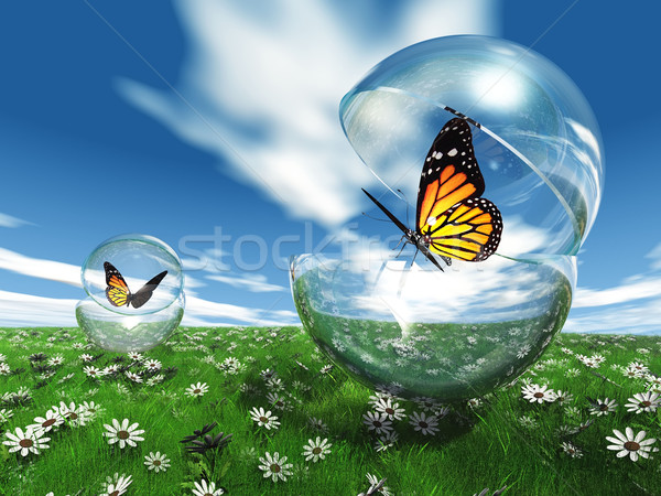 Schmetterling Blase Wiese Blume Natur Garten Stock foto © njaj