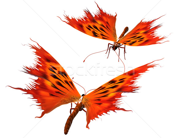 Stock photo: fire butterflies