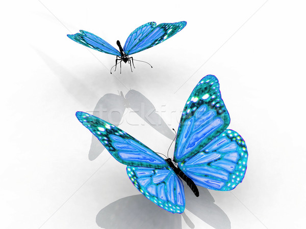 Schmetterling schönen Flügel Natur Garten Schönheit Stock foto © njaj
