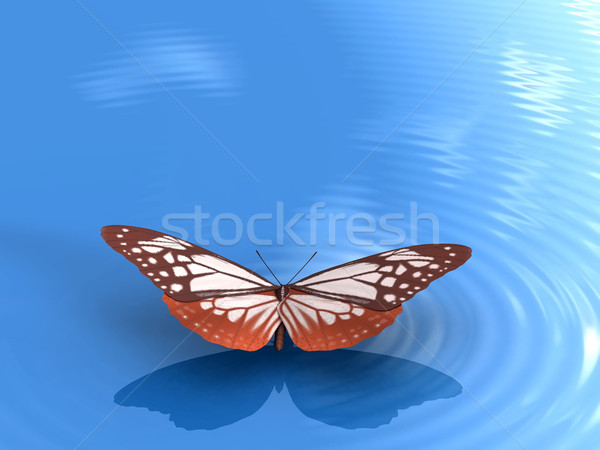 the butterfly Stock photo © njaj