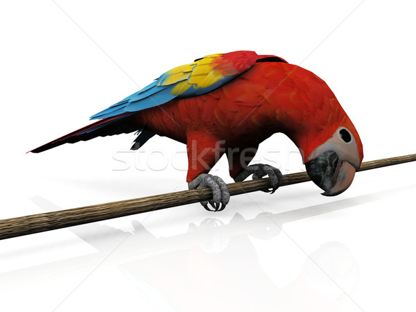 the macaw on a branch on a white background Stock photo © njaj