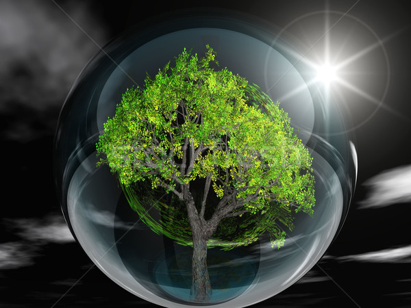 Tree in bubble Stock photo © njaj