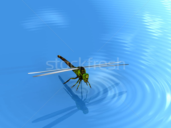 Libelle Wasser Welle Tier Flügel Stock foto © njaj