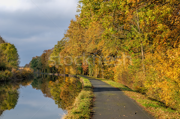 channel et autumn forest Stock photo © njaj
