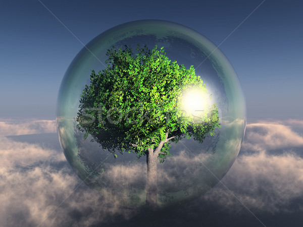 trre in bubble Stock photo © njaj