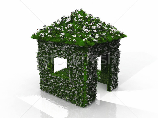 üvegház fű virágok természet terv otthon Stock fotó © njaj