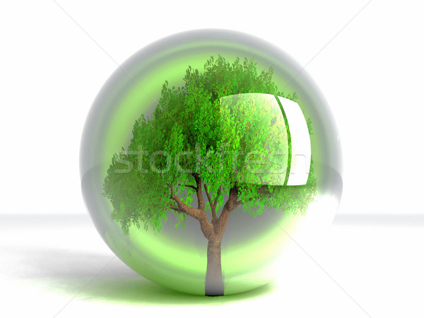 trre in bubble Stock photo © njaj