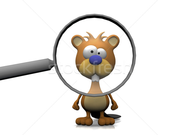 beaver and the magnifying glass Stock photo © njaj