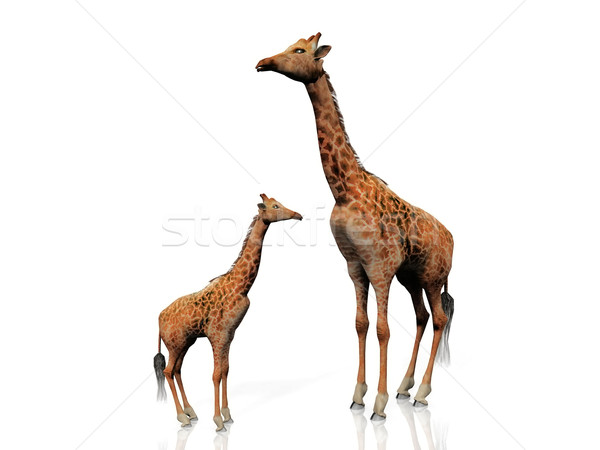 żyrafa baby charakter projektu sztuki zwierząt Zdjęcia stock © njaj