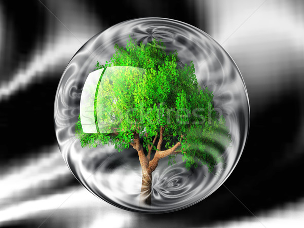 the green tree in a bubble Stock photo © njaj