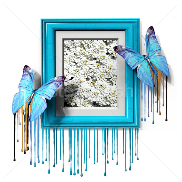 Schmetterling schönen Rahmen Natur Garten Schönheit Stock foto © njaj