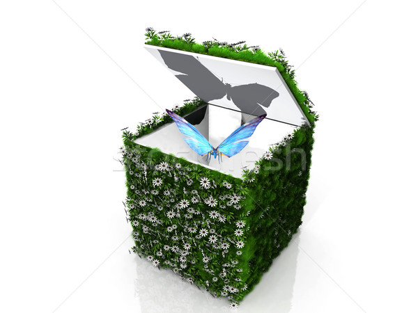 the butterfly in a green box Stock photo © njaj