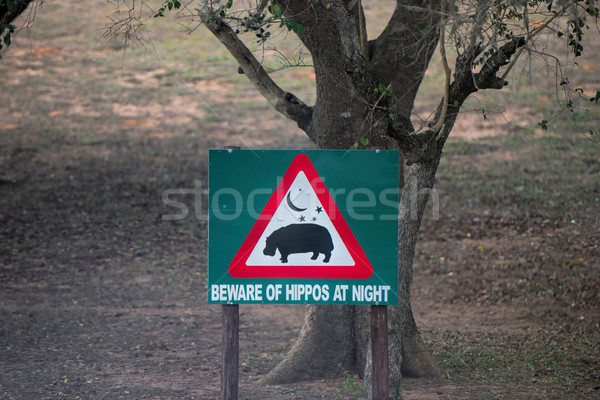 Nilpferd gefährdet Panel Stock foto © njaj