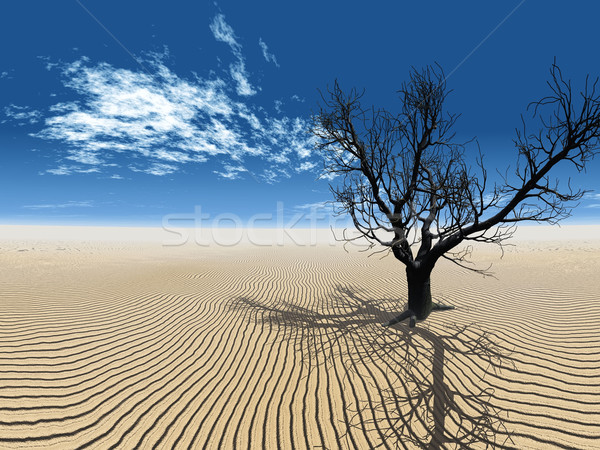 Albero morto deserto arancione sabbia morte africa Foto d'archivio © njaj