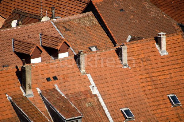 cooked  red tiles on the roofs Stock photo © njaj