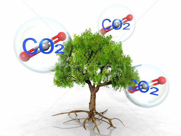 the tree and carbon dioxide Stock photo © njaj